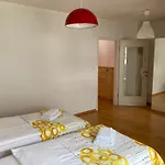Wild Soca No 7 * Bovec