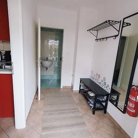 Wild Soca No 7 * Bovec