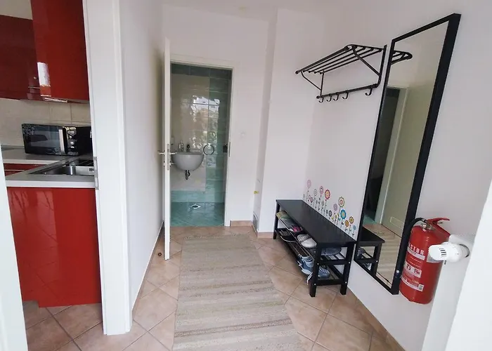 Wild Soca No 7 * בובק